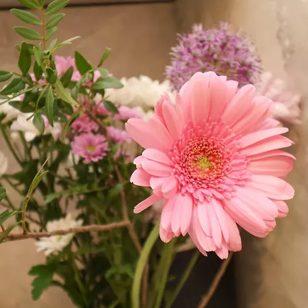 The Riddle Γουίτμπι