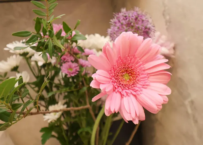 The Riddle 惠特比